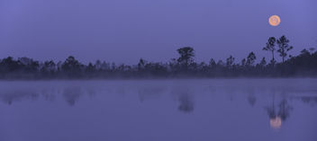 Moonset on a Foggy Morning - Free image #434553